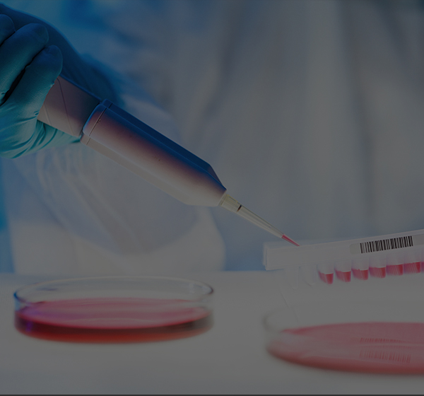 bifa·必发(中国)唯一官方网站